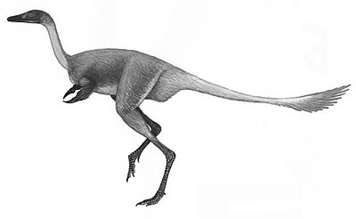 Achillesaurus manazzonei<br />Źródło: nhm.ac.uk