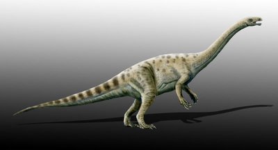 Adeopapposaurus01.jpg