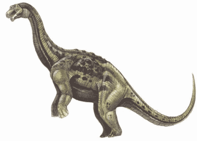 Aeolosaurus.gif