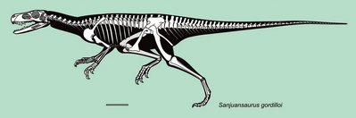 Sanjuansaurus gordilloi Alcober i Martínez, 2010