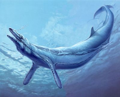 Basilosaurus (basilozaur).