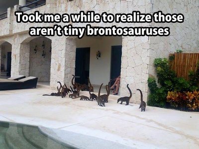 tiny-brontosauruses.jpg