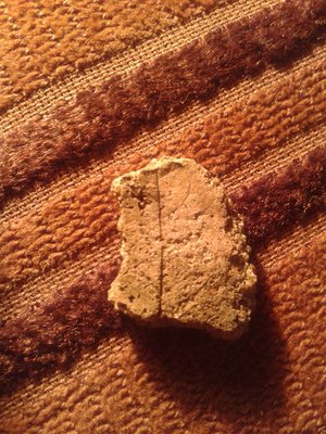 Zdjęcie-0057_e2.jpg (681.98 KiB) Przejrzano 4897 razy Zdjęcie-0057_e2.jpg