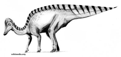 amurosaurus01.jpg.jpg