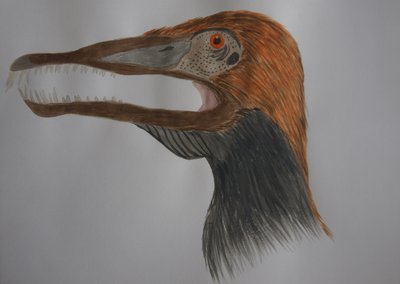 Cearadactylus