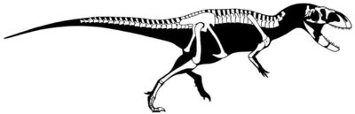 indosuchus_raptorius.jpg