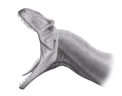Atakujący allozaur – na podstawie teorii Bakkera (1998) oraz Rayfield i in. (2001). Ilustracja autorstwa Stevena O'Connora (http://commons.wikimedia.org/wiki/File:Allosaurus_Jaws_Steveoc86.jpg)