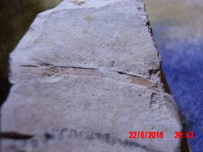 IMG_0007.JPG (291.59 KiB) Przejrzano 6420 razy IMG_0007.JPG