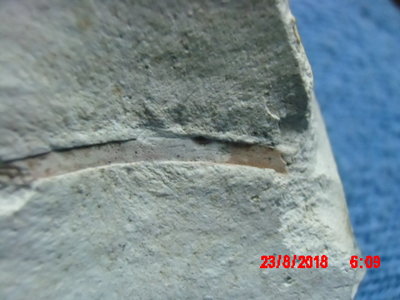 IMG_0023.JPG (262.84 KiB) Przejrzano 6409 razy IMG_0023.JPG