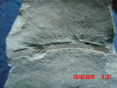 IMG_0020.JPG (255.94 KiB) Przejrzano 6622 razy IMG_0020.JPG