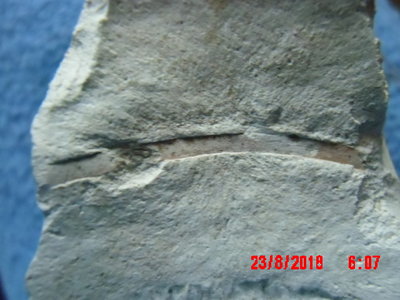 IMG_0019.JPG (264.45 KiB) Przejrzano 6736 razy IMG_0019.JPG