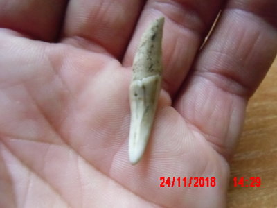 IMG_0001.JPG (230.62 KiB) Przejrzano 11993 razy IMG_0001.JPG