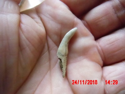 IMG_0003.JPG (240.91 KiB) Przejrzano 12076 razy IMG_0003.JPG