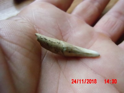 IMG_0005.JPG (229.04 KiB) Przejrzano 12072 razy IMG_0005.JPG