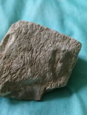 DSC_0529-min.JPG (58.62 KiB) Przejrzano 3355 razy DSC_0529-min.JPG