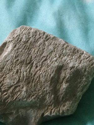 DSC_0531-min.JPG (76.46 KiB) Przejrzano 3301 razy DSC_0531-min.JPG