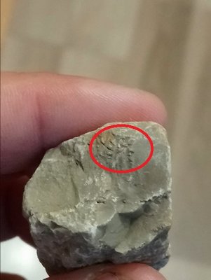 DSC_0567-min.JPG (50.67 KiB) Przejrzano 3467 razy DSC_0567-min.JPG