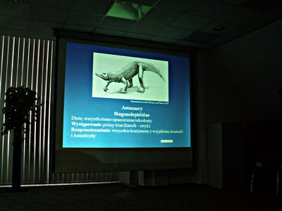 dr Tomasz Sulej - &quot;Nowy gatunek wszystkożernego tekodonta aetozaura z Krasiejowa&quot;.