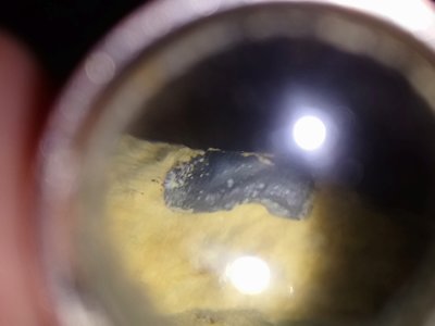 DSC_2135.JPG (3.69 MiB) Przejrzano 16354 razy DSC_2135.JPG