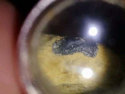 DSC_2133.JPG (3.92 MiB) Przejrzano 16353 razy DSC_2133.JPG