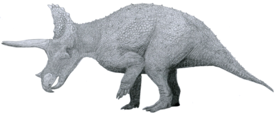 Triceratops_by_Tom_Patker.png