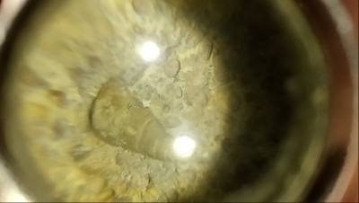 DSC_0307.JPG (2.06 MiB) Przejrzano 2878 razy DSC_0307.JPG