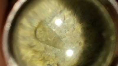 DSC_0308.JPG (2.02 MiB) Przejrzano 2878 razy DSC_0308.JPG