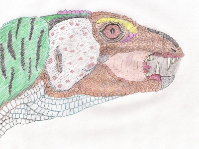 Heterodontozaur gł.jpg