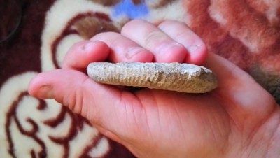 DSC_0757.JPG (3.9 MiB) Przejrzano 16184 razy DSC_0757.JPG