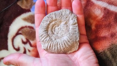 DSC_0756.JPG (4.2 MiB) Przejrzano 16166 razy DSC_0756.JPG