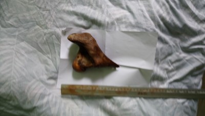 DSC_0759.JPG (3.74 MiB) Przejrzano 3454 razy DSC_0759.JPG