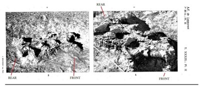 HUGE Brachiosaurus nougaredi sacrum! - from Lapparent, 1960 - Copy2.jpg