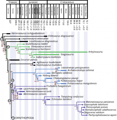 Dieudonne et 2020 phylogeny of cerapoda 1.png