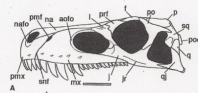 skanowanie0003.jpg