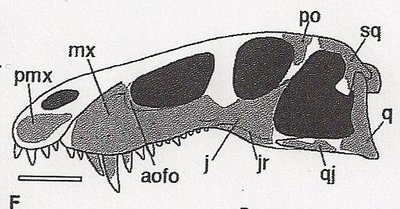 skanowanie0004.jpg