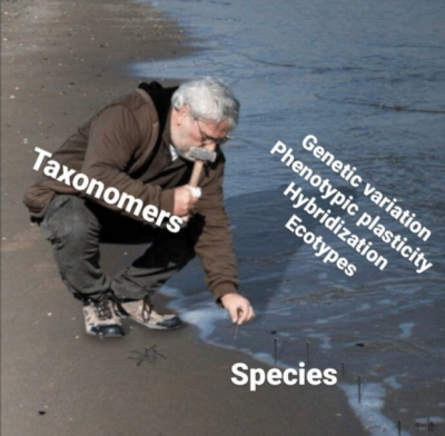 taxonomers.png