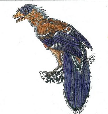 Eoenantiornis_568x600.jpg