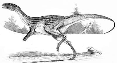 Rekonstrukcja przyżyciowa &quot;atlaskopkozaura&quot;. http://www.dinosaurspark.com/dino_imgs/big/Atlascopcosaurus.jpg