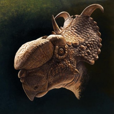 Pachyrhinosaurus.jpg