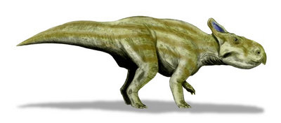 Rekonstrukcja przyżyciowa, obrazek pochodzi z tej strony http://en.wikipedia.org/wiki/Montanoceratops
