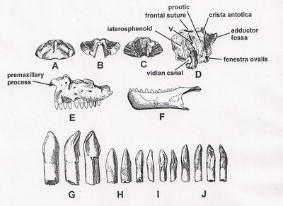 skanowanie0004.jpg