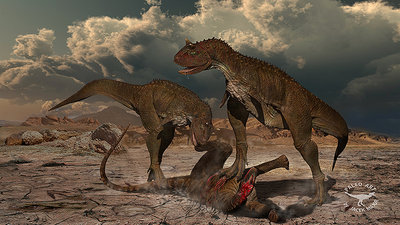 Carnotaurus skład2.jpg