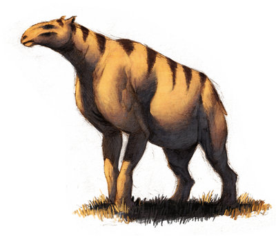 chalicotherium.jpg