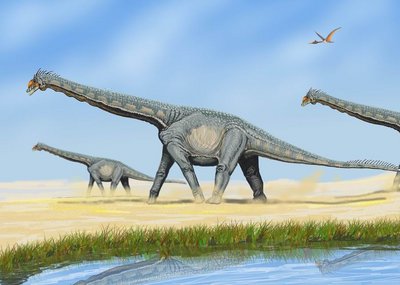 alamosaurus.jpg (74.28 KiB) Przejrzano 35823 razy Alamosaurus sanjuanensis Gilmore, 1922<br />Źródło: pterosauria.wordpress.com