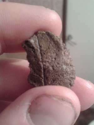 Zdjęcie-0064_e1.jpg (202.4 KiB) Przejrzano 4806 razy Zdjęcie-0064_e1.jpg