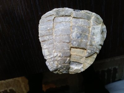 20190420_144142.jpg (3.34 MiB) Przejrzano 4572 razy 20190420_144142.jpg