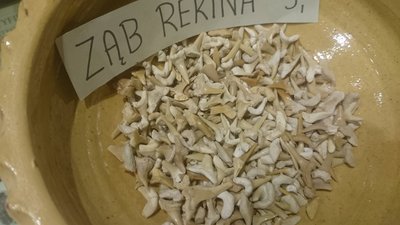 DSC_0583.JPG (618.17 KiB) Przejrzano 5538 razy DSC_0583.JPG