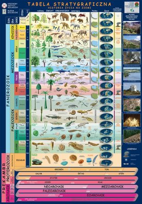 tabela-stratygraficzna m.jpg