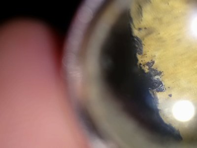 DSC_2137.JPG (3.41 MiB) Przejrzano 16275 razy DSC_2137.JPG