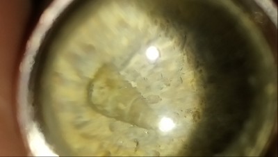 DSC_0309.JPG (2.06 MiB) Przejrzano 2969 razy DSC_0309.JPG